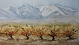 canigou-automne
